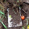 Earth Ritual - Shroud and Burial Project
(September 2011)