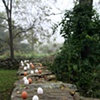 Eggs standing on end, shrouded books