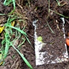 Earth covering book