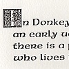 Excerpt, Arkansas Snowflake