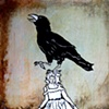 Girl and Crow