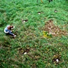Aerial view; circle of books around deer