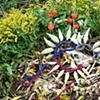 Deer with flowers and milkweed crowns (after burial of books)