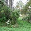 Entrance into ritual area