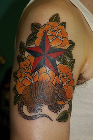 armadillo