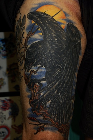 raven