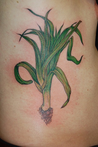 leek