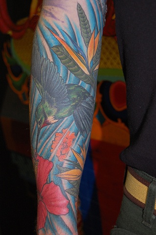 hummingb1