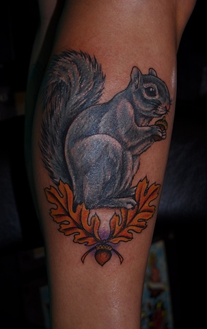 squirrel