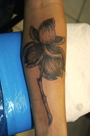 pecan