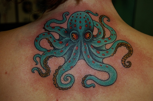 octopus