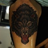 wolf