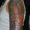 tigermaples1