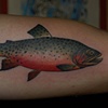 trout