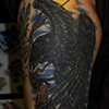 raven