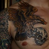 falconskull