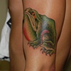 frog