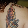 tigerSh