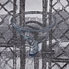 Gate