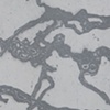 Cracks series, 2010