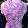 in progress