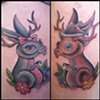 jackalopes