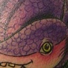 Armadillo