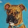 Luke Peedle Cotter Foster