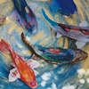 Koi