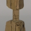 Spalted Maple
