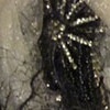 Spiders and Flies