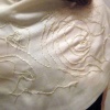 Surface Map Scarf