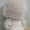 MunNY, knit in collaboration with Tobias Wong, Various Projects, and Judith Hobson 