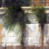 River Grass
