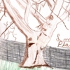 Drawing from Nature