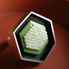 noctuid ring