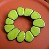 saguaro pin