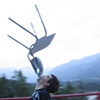 Finding Balance at the Banff Center for the Arts