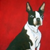 Boston Terrier on red
Private Collection  