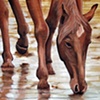 Horse Drinking
Private Collection  