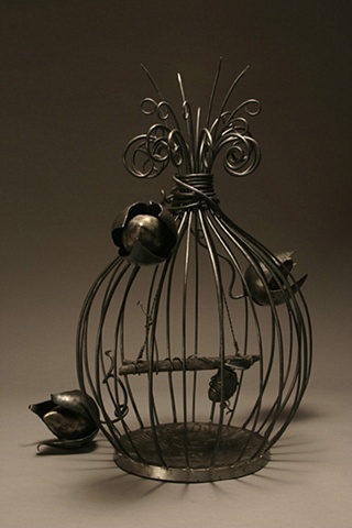 Butterfly Cage