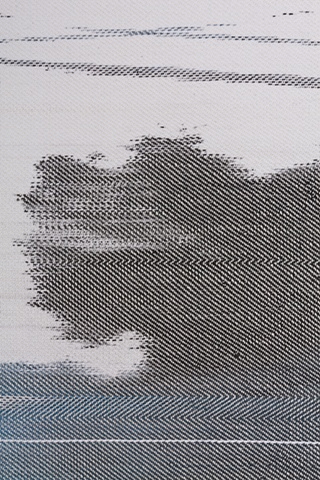 Blot #2: Ambivalence (detail)