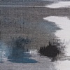 Blot #2: Ambivalence (detail)