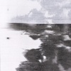 Large Ink Blots 2009