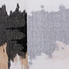 Blot #3: Blot and Stain (detail)