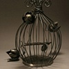Butterfly Cage
