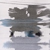 Blot #2: Ambivalence