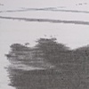 Blot #2: Ambivalence (detail)