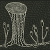 Systems Meditation #8