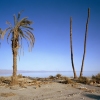marina, Salton City